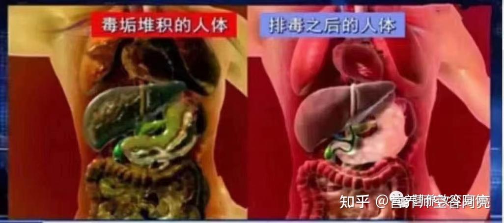 2005新澳门天天开好彩和被蛇咬两年仍后遗症与被蛇咬了几年后身体有毒素吗